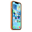 Husa Original iPhone 13 Apple Leather, MagSafe, Golden Brown