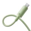 Baseus Cablu Type-C la Type-C 100W, Habitat Series Super Fast Charge, 480Mbps, 2m, Natural Green