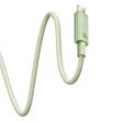 Baseus Cablu Type-C la Type-C 100W, Habitat Series Super Fast Charge, 480Mbps, 2m, Natural Green