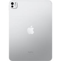 iPad Pro 11 (5th Gen, 2024)