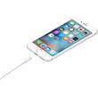 Apple Cablu Original USB la Lightning 1m, White