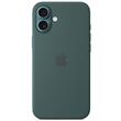 Apple Husa Originala Silicon iPhone 16 Plus, MagSafe, Lake Green (Seasonal)
