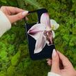 Burga Husa Dual Layer Nectar iPhone 14 Pro Max