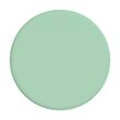 Popsockets Suport PopGrip Basic Adeziv Pastel Mint