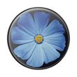 Popsockets Suport PopGrip Blooming Blue Gloss