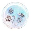 Popsockets Suport PopGrip Tidepool Snowed In